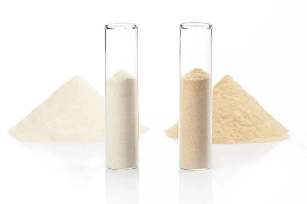 Amidated Pectin CS025-B - 25kg - EBG Imports