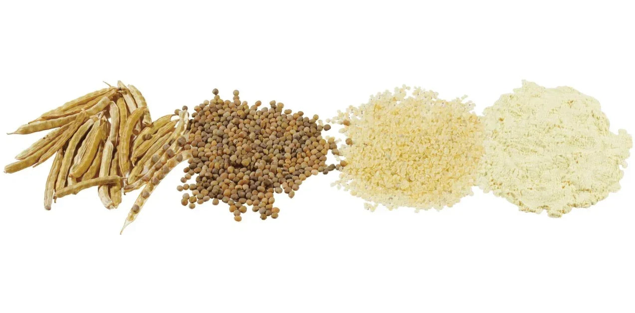 Locust Bean Gum - 50lb - EBG Imports