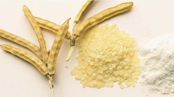 Gum Arabic (Acacia) - 25kg - EBG Imports