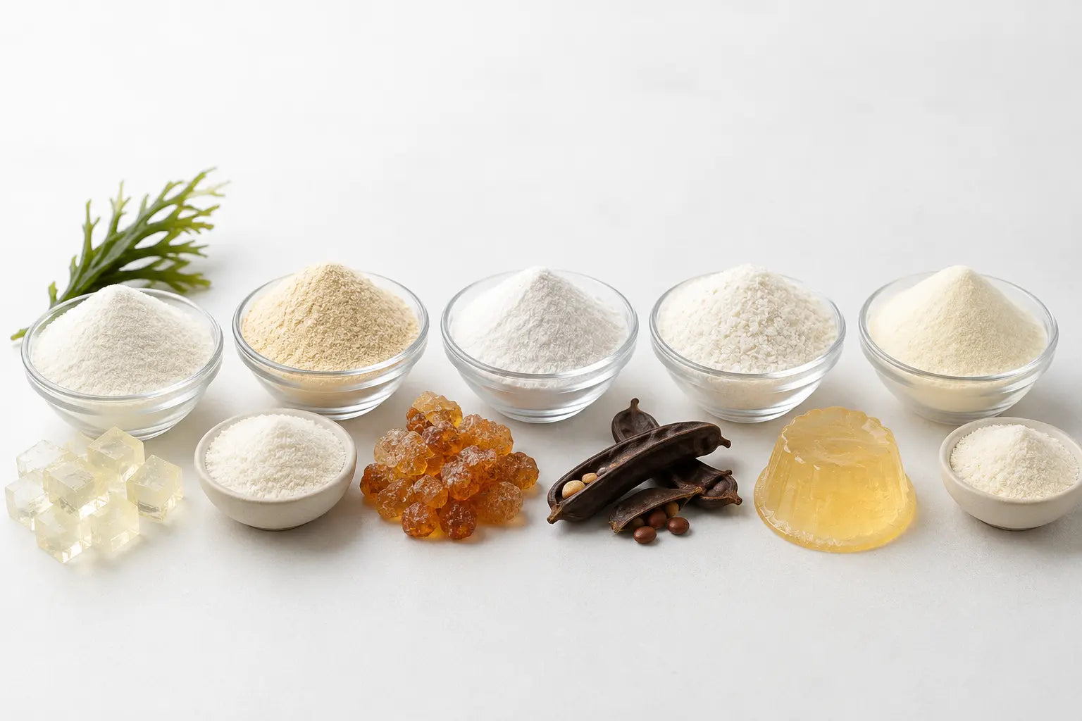 Bulk Hydrocolloids Supplier | Xanthan Gum, Pectin, Gelatin, Agar Agar & Gums